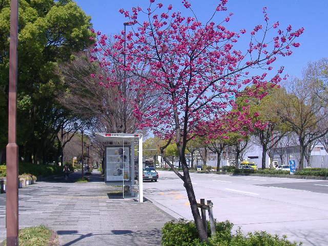meizyo bus stop2