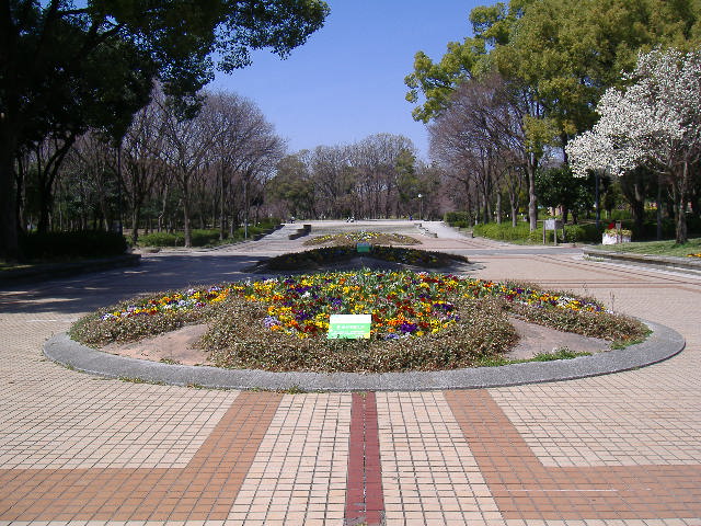meizyo panzi