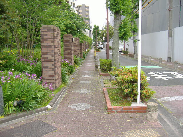 DSCF6256.JPG